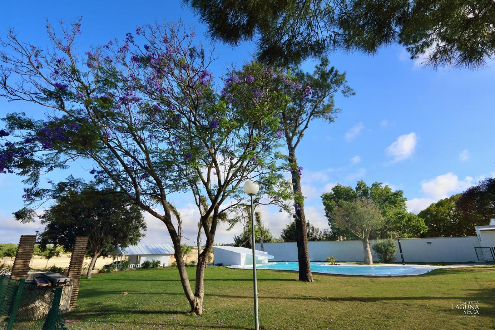 Hacienda Laguna Seca - Apart. Lavanda Chiclana de la Frontera Exterior foto